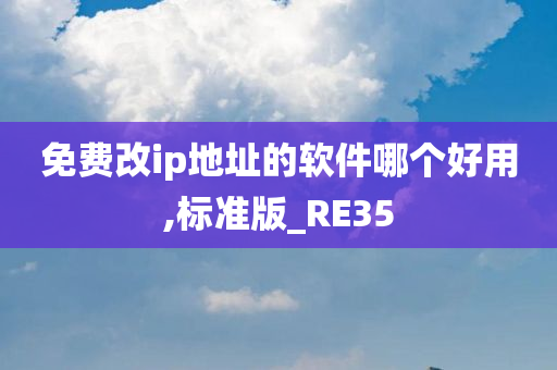 免费改ip地址的软件哪个好用,标准版_RE35