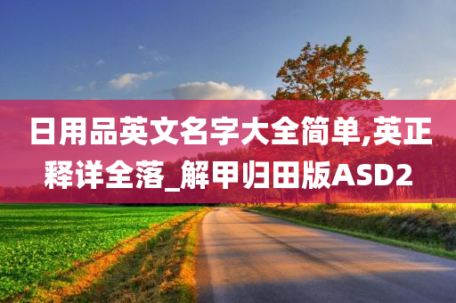 日用品英文名字大全简单,英正释详全落_解甲归田版ASD2