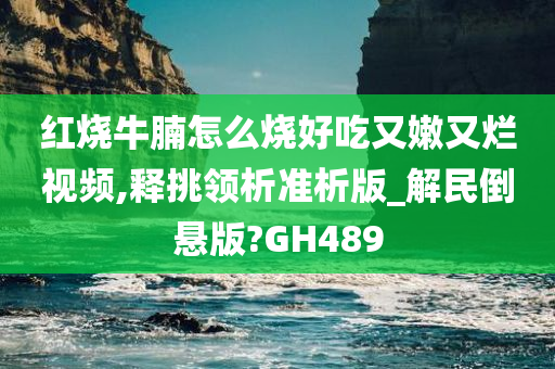 红烧牛腩怎么烧好吃又嫩又烂视频,释挑领析准析版_解民倒悬版?GH489