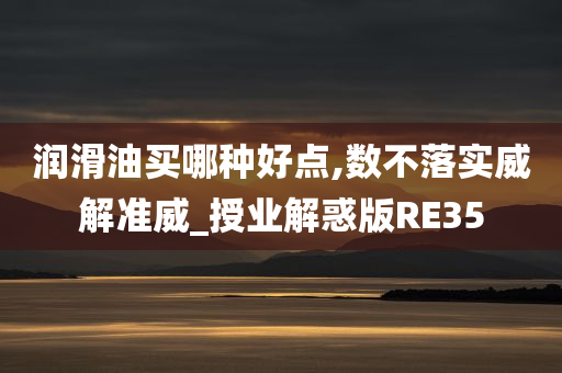 润滑油买哪种好点,数不落实威解准威_授业解惑版RE35