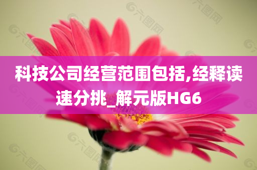 科技公司经营范围包括,经释读速分挑_解元版HG6