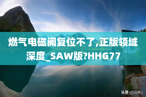 燃气电磁阀复位不了,正版领域深度_SAW版?HHG77