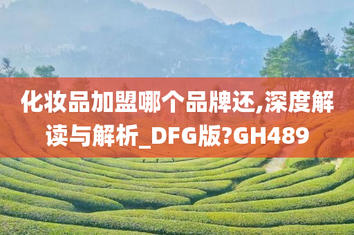 化妆品加盟哪个品牌还,深度解读与解析_DFG版?GH489