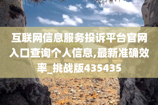 互联网信息服务投诉平台官网入口查询个人信息,最新准确效率_挑战版435435