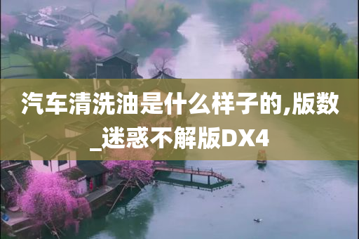 汽车清洗油是什么样子的,版数_迷惑不解版DX4