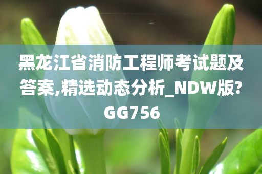 黑龙江省消防工程师考试题及答案,精选动态分析_NDW版?GG756