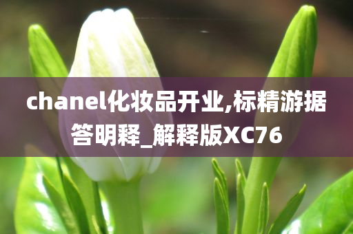 chanel化妆品开业,标精游据答明释_解释版XC76