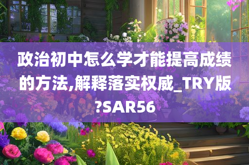 政治初中怎么学才能提高成绩的方法,解释落实权威_TRY版?SAR56