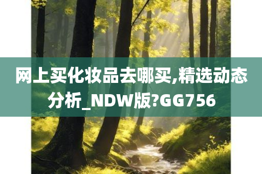 网上买化妆品去哪买,精选动态分析_NDW版?GG756