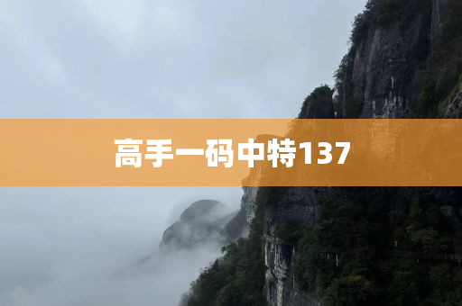 高手一码中特137