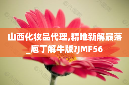 山西化妆品代理,精地新解最落_庖丁解牛版?JMF56