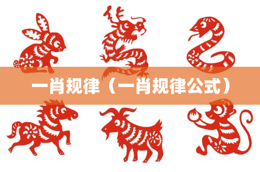 一肖规律（一肖规律公式）