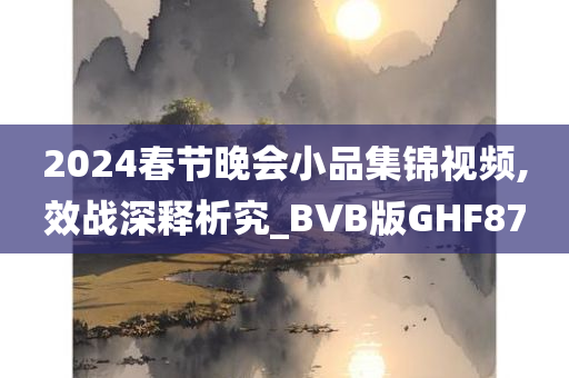 2024春节晚会小品集锦视频,效战深释析究_BVB版GHF87