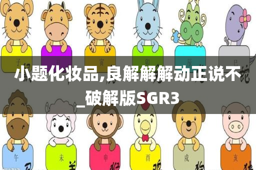 小题化妆品,良解解解动正说不_破解版SGR3