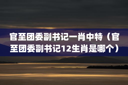 官至团委副书记一肖中特（官至团委副书记12生肖是哪个）