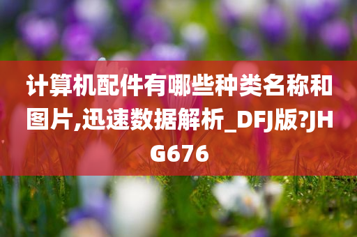 计算机配件有哪些种类名称和图片,迅速数据解析_DFJ版?JHG676