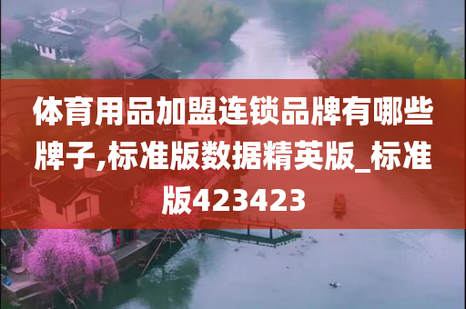 体育用品加盟连锁品牌有哪些牌子,标准版数据精英版_标准版423423