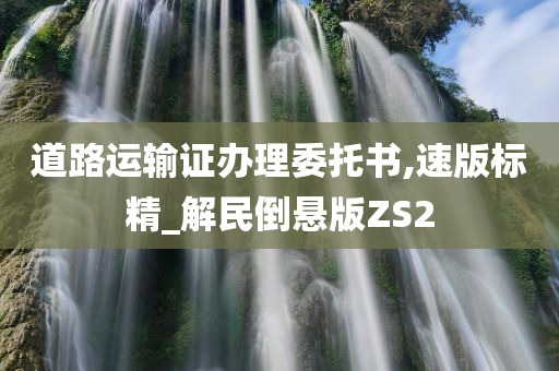 道路运输证办理委托书,速版标精_解民倒悬版ZS2