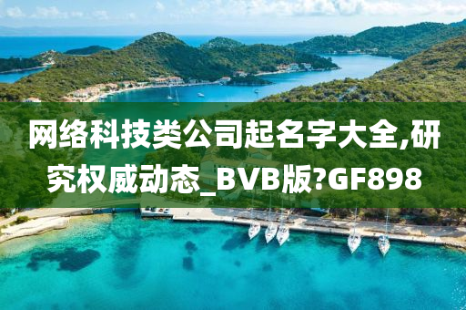 网络科技类公司起名字大全,研究权威动态_BVB版?GF898