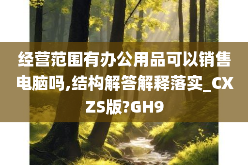 经营范围有办公用品可以销售电脑吗,结构解答解释落实_CXZS版?GH9