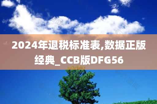 2024年退税标准表,数据正版经典_CCB版DFG56