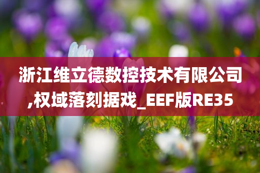 浙江维立德数控技术有限公司,权域落刻据戏_EEF版RE35