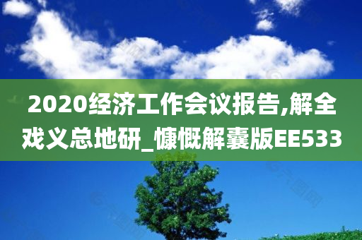 2020经济工作会议报告,解全戏义总地研_慷慨解囊版EE533