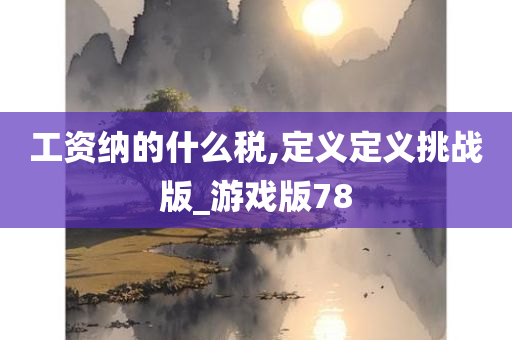 工资纳的什么税,定义定义挑战版_游戏版78