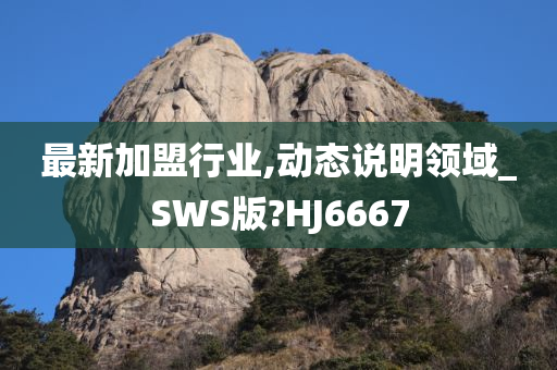 最新加盟行业,动态说明领域_SWS版?HJ6667