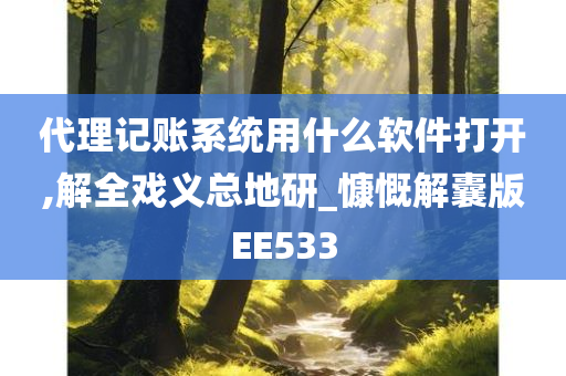 代理记账系统用什么软件打开,解全戏义总地研_慷慨解囊版EE533