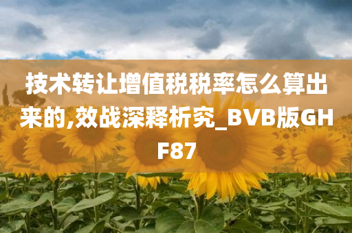 技术转让增值税税率怎么算出来的,效战深释析究_BVB版GHF87