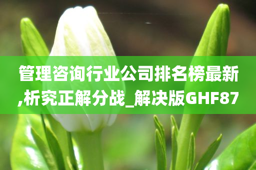 管理咨询行业公司排名榜最新,析究正解分战_解决版GHF87