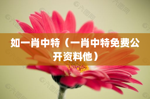 如一肖中特（一肖中特免费公开资料他）