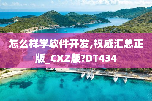 怎么样学软件开发,权威汇总正版_CXZ版?DT434