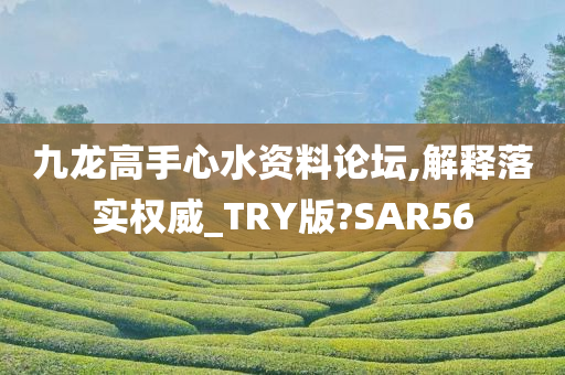 九龙高手心水资料论坛,解释落实权威_TRY版?SAR56