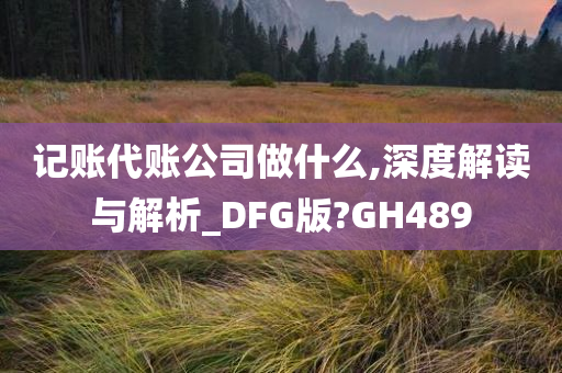 记账代账公司做什么,深度解读与解析_DFG版?GH489