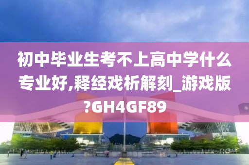 初中毕业生考不上高中学什么专业好,释经戏析解刻_游戏版?GH4GF89