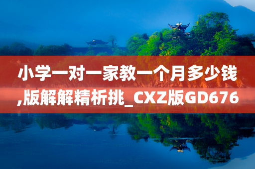 小学一对一家教一个月多少钱,版解解精析挑_CXZ版GD676