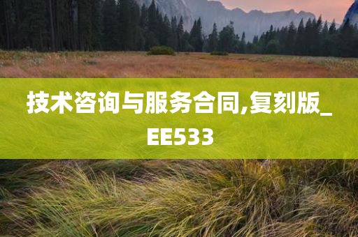 技术咨询与服务合同,复刻版_EE533