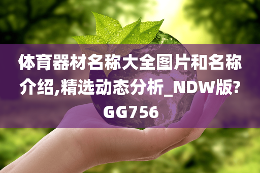 体育器材名称大全图片和名称介绍,精选动态分析_NDW版?GG756