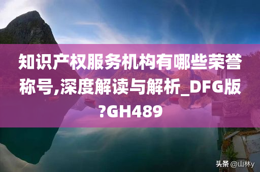 知识产权服务机构有哪些荣誉称号,深度解读与解析_DFG版?GH489