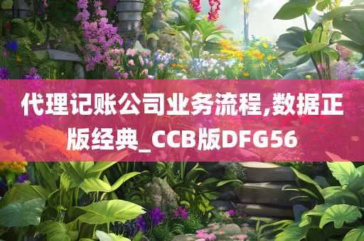 代理记账公司业务流程,数据正版经典_CCB版DFG56