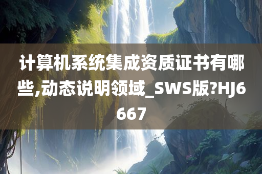 计算机系统集成资质证书有哪些,动态说明领域_SWS版?HJ6667