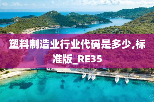 塑料制造业行业代码是多少,标准版_RE35