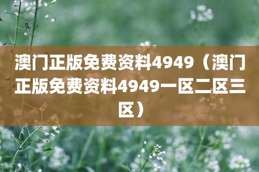 澳门正版免费资料4949（澳门正版免费资料4949一区二区三区）