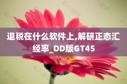 退税在什么软件上,解研正态汇经率_DD版GT45