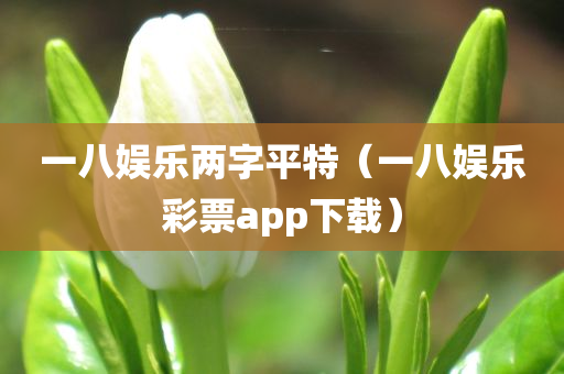 一八娱乐两字平特（一八娱乐彩票app下载）