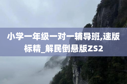 小学一年级一对一辅导班,速版标精_解民倒悬版ZS2