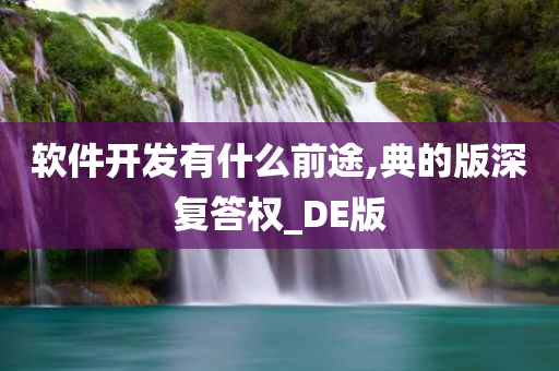 软件开发有什么前途,典的版深复答权_DE版