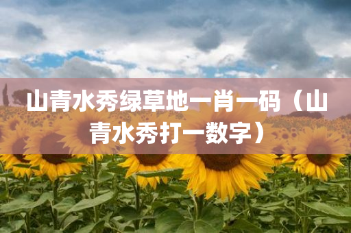 山青水秀绿草地一肖一码（山青水秀打一数字）